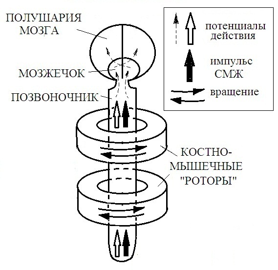 Торсионный генератор схема