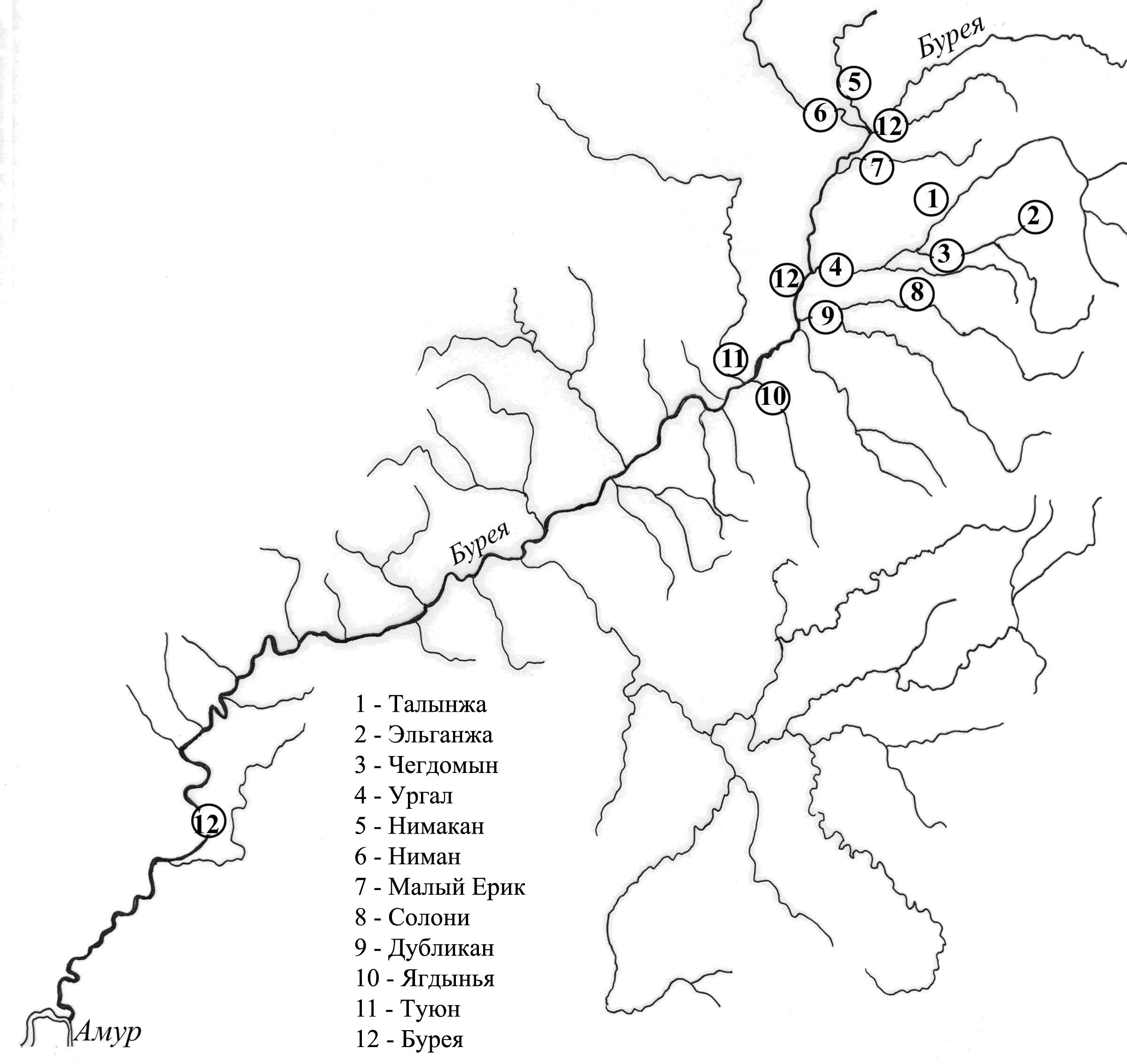 Карта бурейского водохранилища