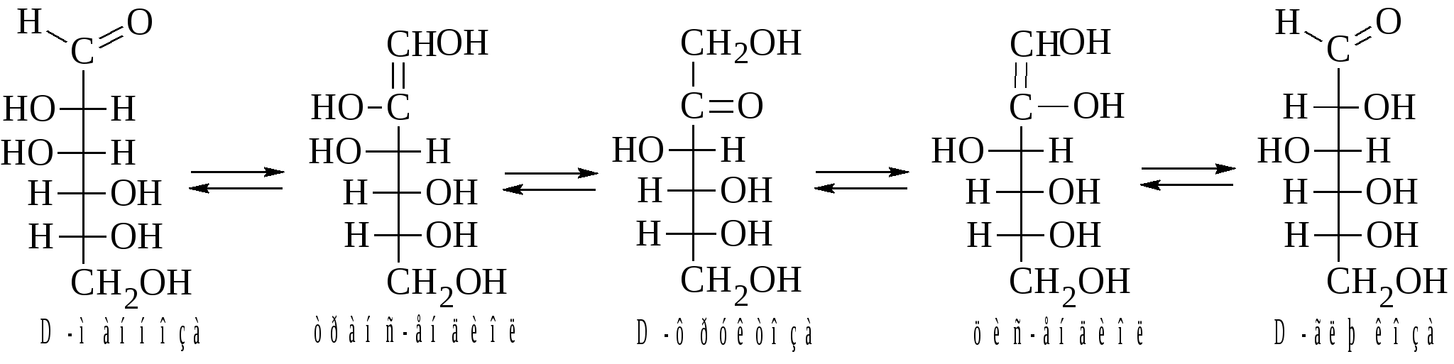 Kafedra Obshej I Bioorganicheskoj Himii