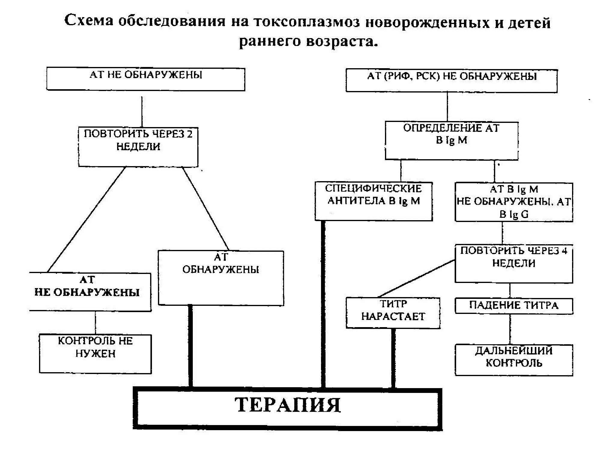 Схема обследования. Схема терапии токсоплазмоз. Лечение токсоплазмоза у детей схема. Схема обследования детей. Диагностика токсоплазм.