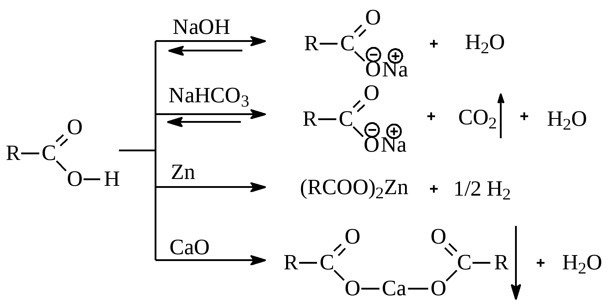 Уксусная кислота nahco3 реакция. Карбоновая кислота nahco3. Пировиноградная кислота nahco3. Реакция карбоновых кислот с nahco3.