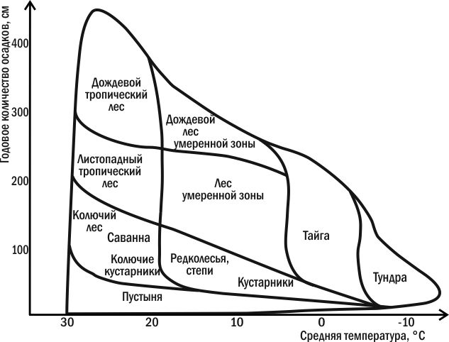 Схема идеального континента