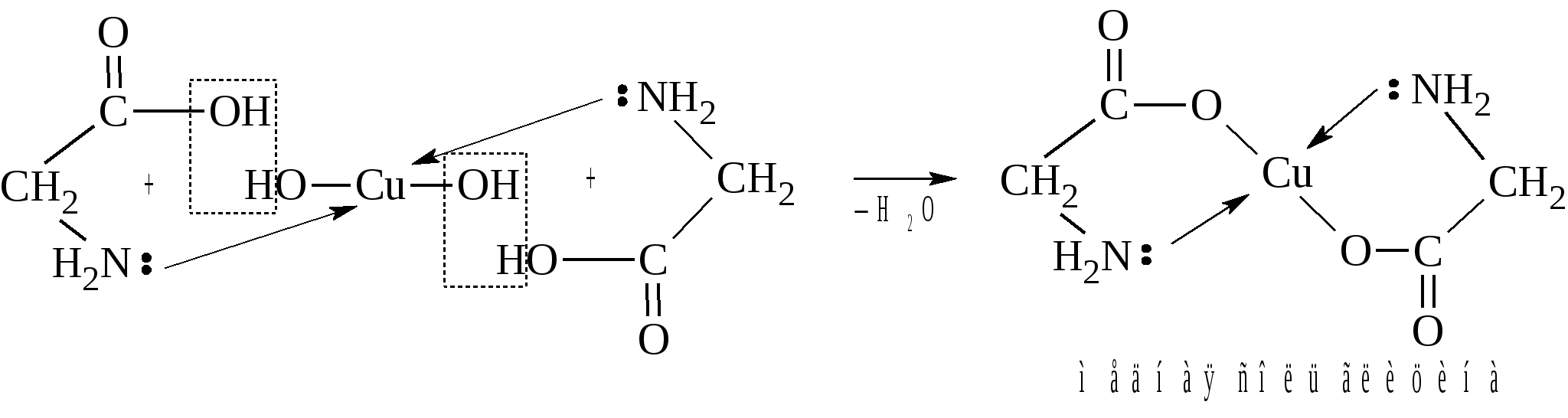 Глицин и гидроксид меди 2 реакция. Комплекс меди с глицином. Образование комплексной медной соли глицина. Сложный эфир аминокислоты. Глицин и сульфат меди.