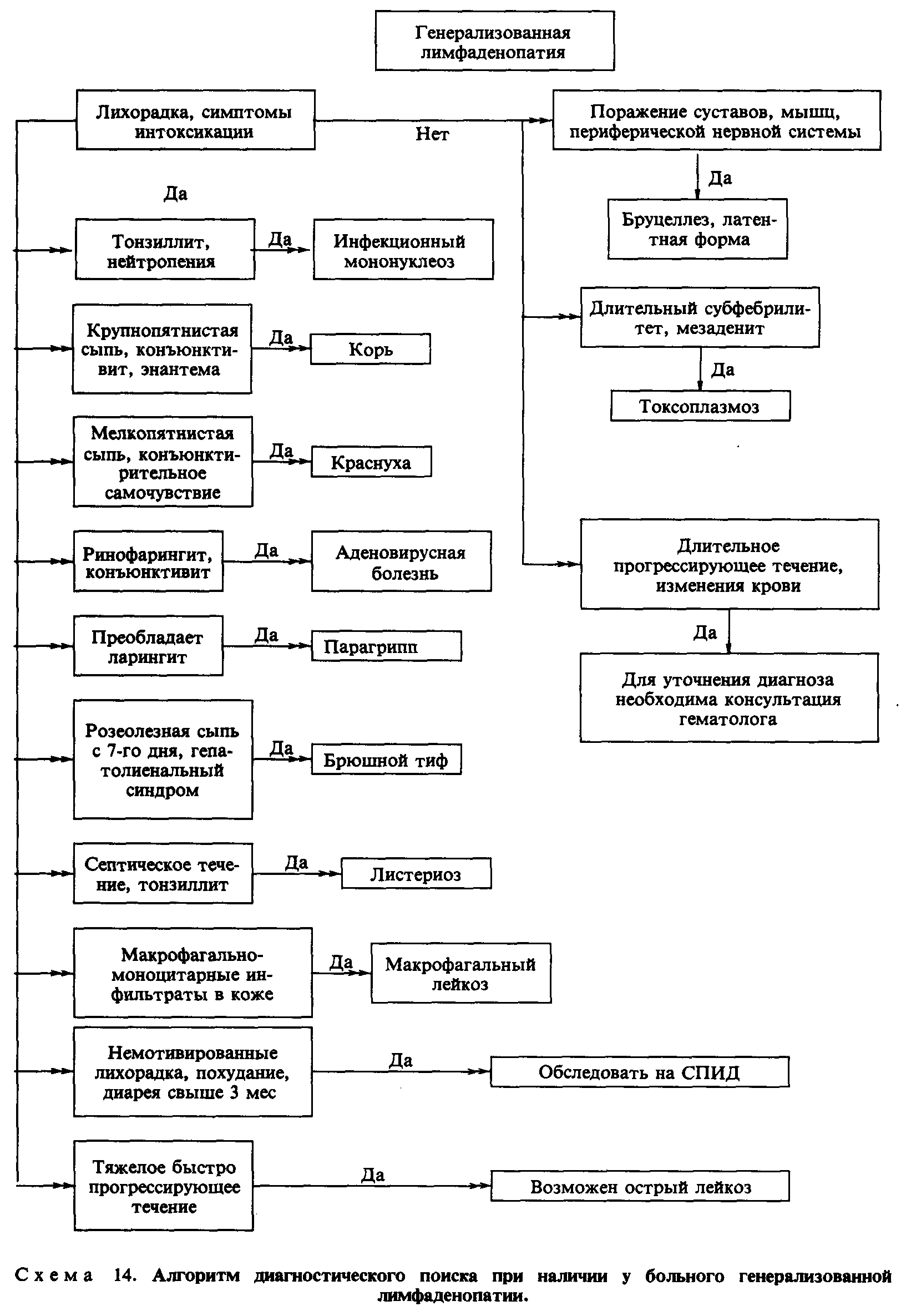 Вторичная лимфаденопатия. Генерализованная лимфаденопатия. Генерализованная лимфаденопатия характерна для. Диагностический алгоритм при лимфаденопатии. Левосторонняя лимфаденопатия.