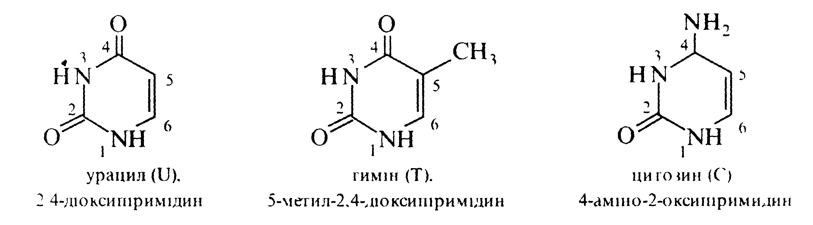 Содержит урацил