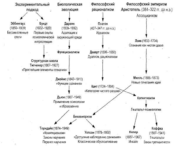 Укажите элементы блок схемы гештальт психологии