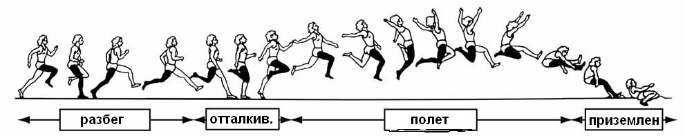 Совершенствование прыжка в длину с разбега план конспект