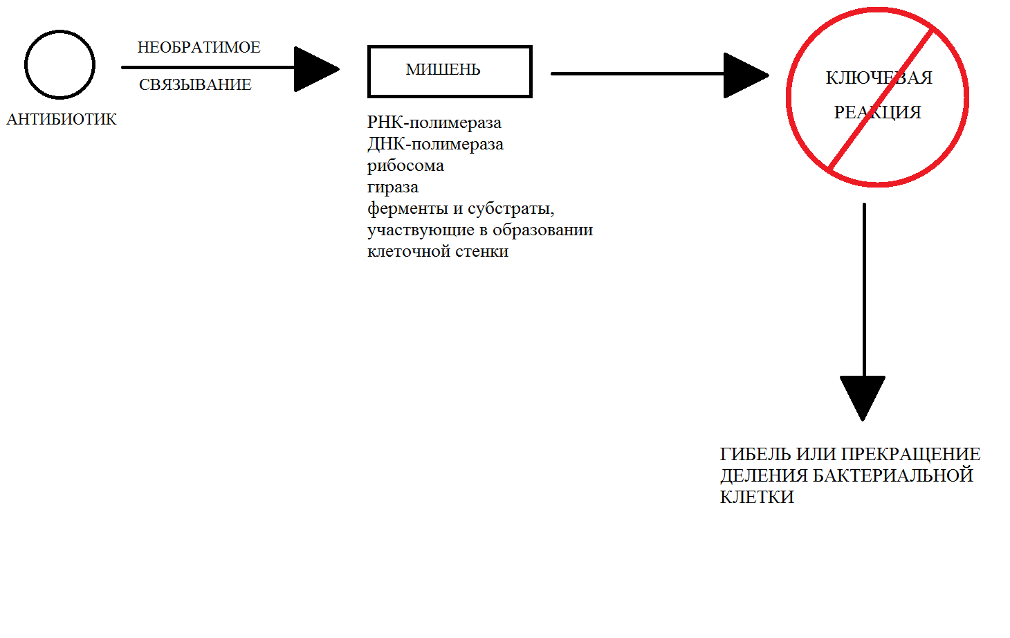 Как быстро действует. Как действуют антибиотики. Как действуют антибактериальные антибиотики. Как быстро действуют антибиотики. Механизм действия антибиотиков кратко.