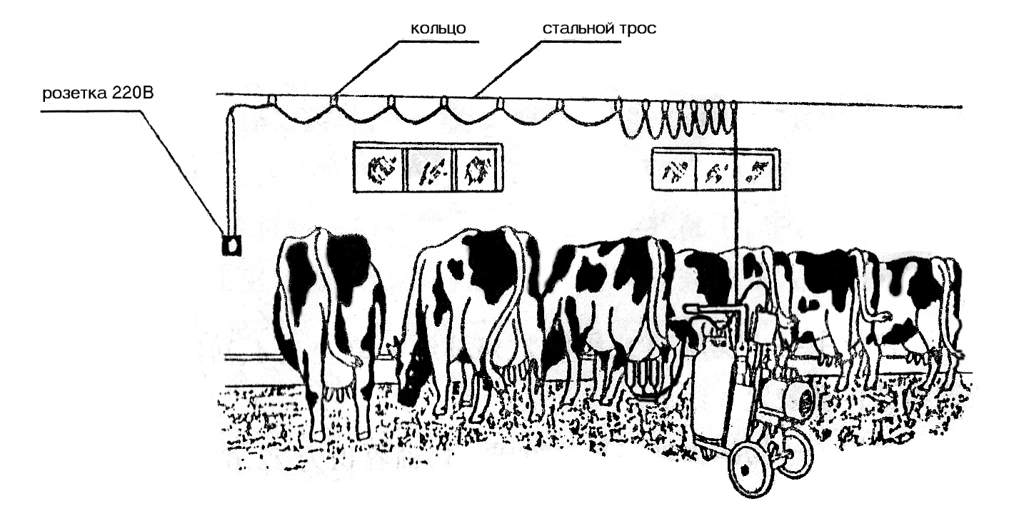 Схемы доильные системы для коров