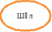 овал 16