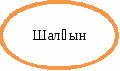 овал 17