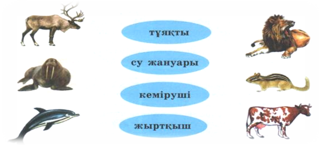 Өсімдіктер мен жануарлардың адам өміріндегі рөлі презентация