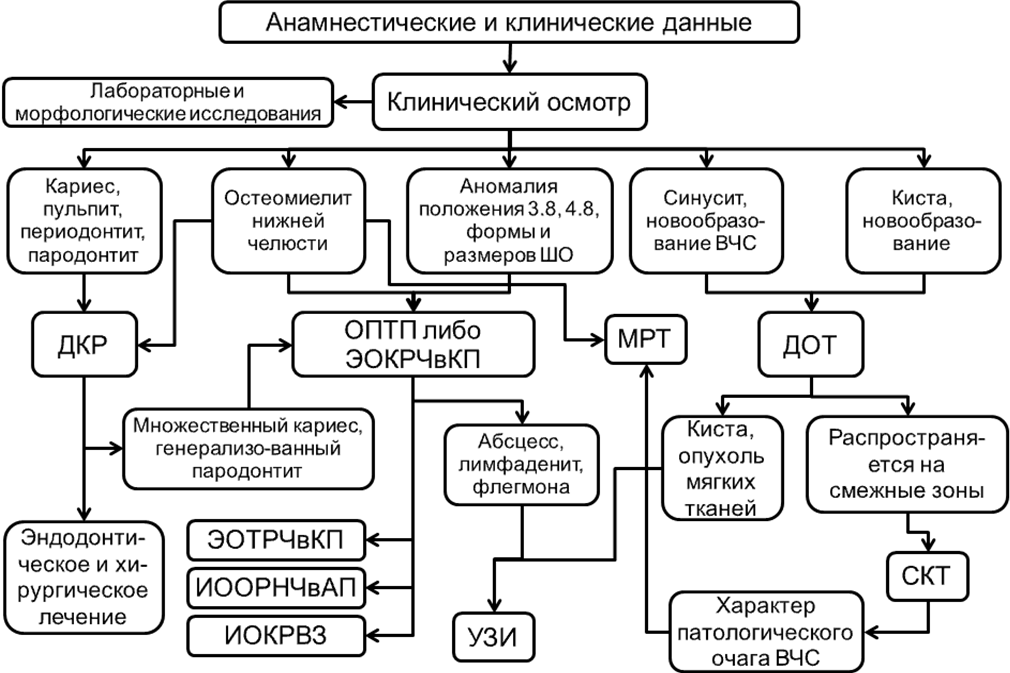 Схема основные методы обследования стоматологического больного