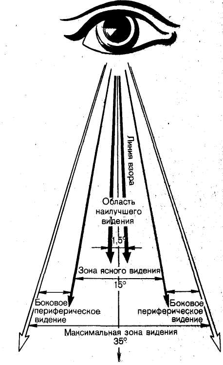 Область видения изображения. Периферическое зрение для быстрого чтения. Зоны видения человеческого глаза. Угол периферийного зрения человеческого глаза. Движение глаз при скорочтении.