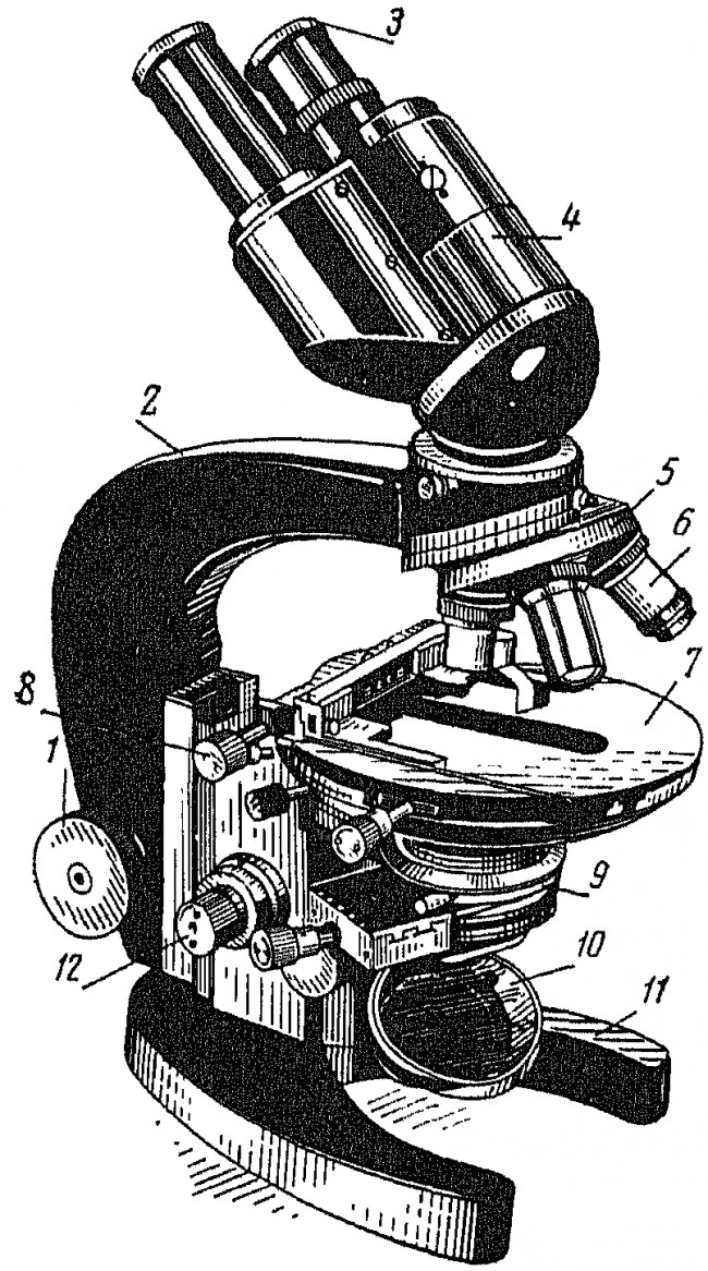 Функция револьвера в микроскопе. Рис 1 микроскоп МБР-1. Строение микроскопа. Строение микроскопа 6. Строение микроскопа револьвер.