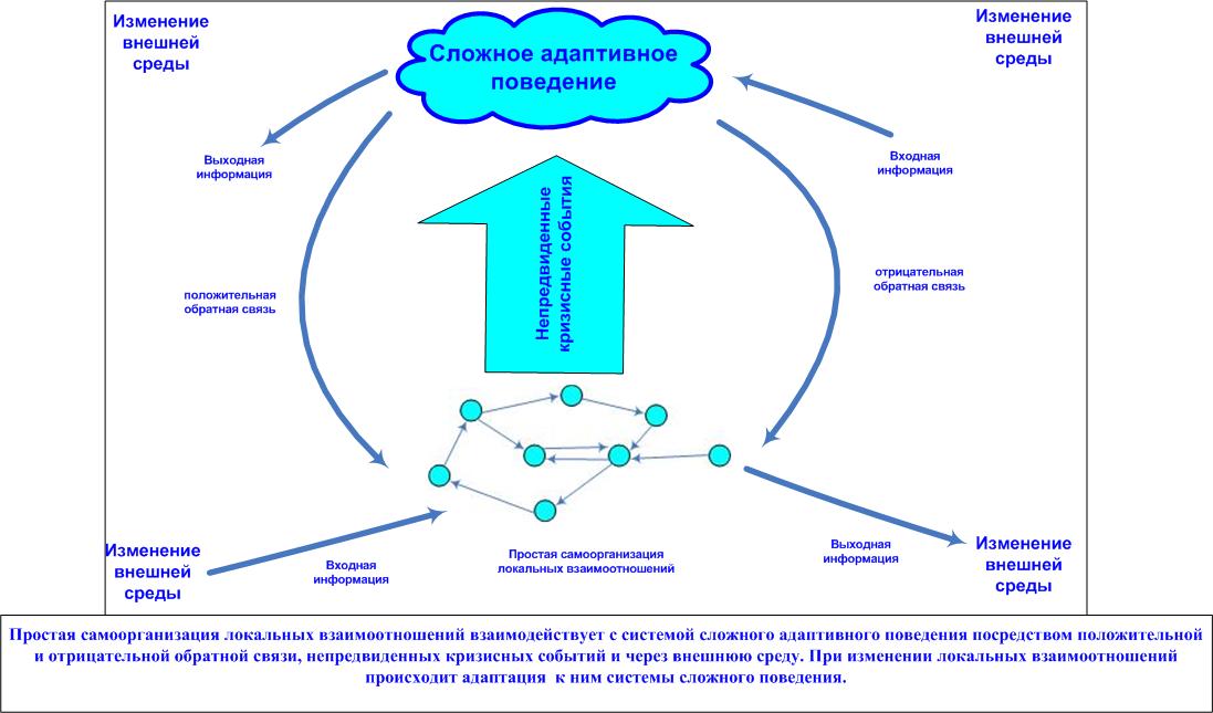 Адаптированная система. Сложные адаптивные системы. Сложные адаптивные системы в менеджменте. Адаптивное поведение системы. Модель сложной адаптивной системы.