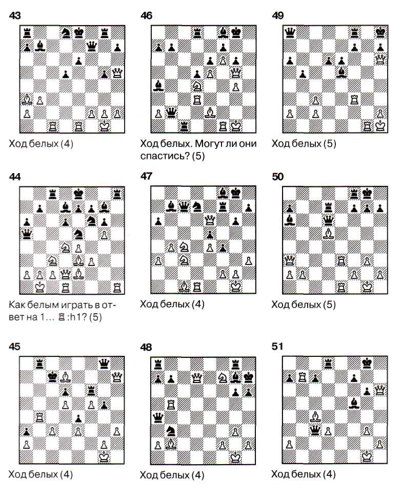 Шахматные задачи для дошкольников с картинками